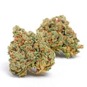 cannabis legal cogollos cbd