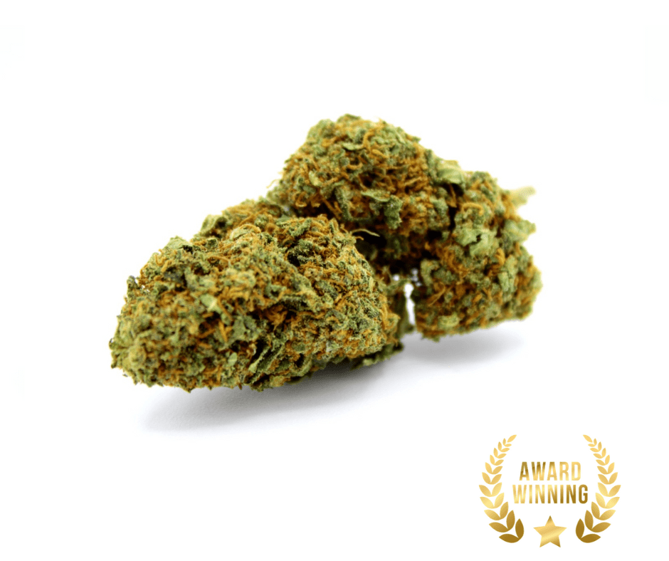 Gelato CBD, Gelato USA CBD, flor de CBD premium, CBD 9.8%, cáñamo hidropónico, cultivo indoor, cannabis legal, cogollo compacto, sabor afrutado, flor de CBD americana, Sunset Sherbet, Girl Scout Cookies CBD, terpenos dulces, aroma herbal, sin pesticidas, sin OMG, flores de CBD de calidad, The Hemp House, cannabidiol legal, THC < 0.3%